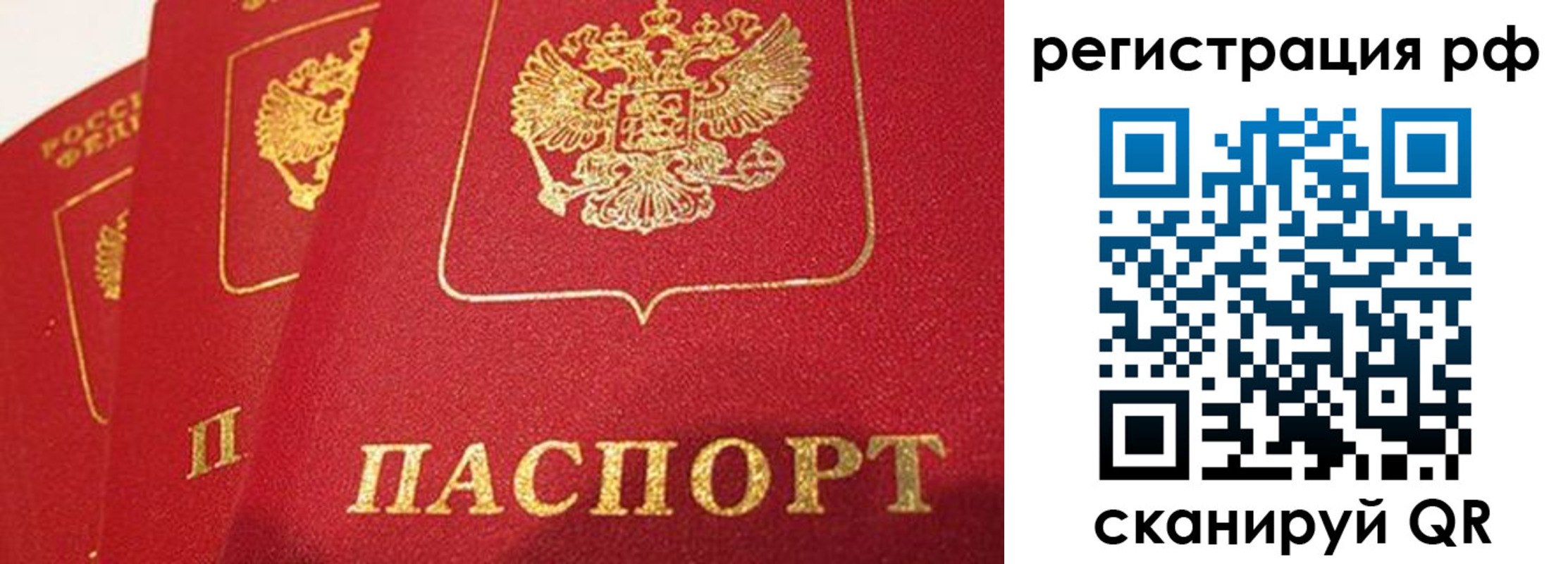 прописка поиск в Ингушетии